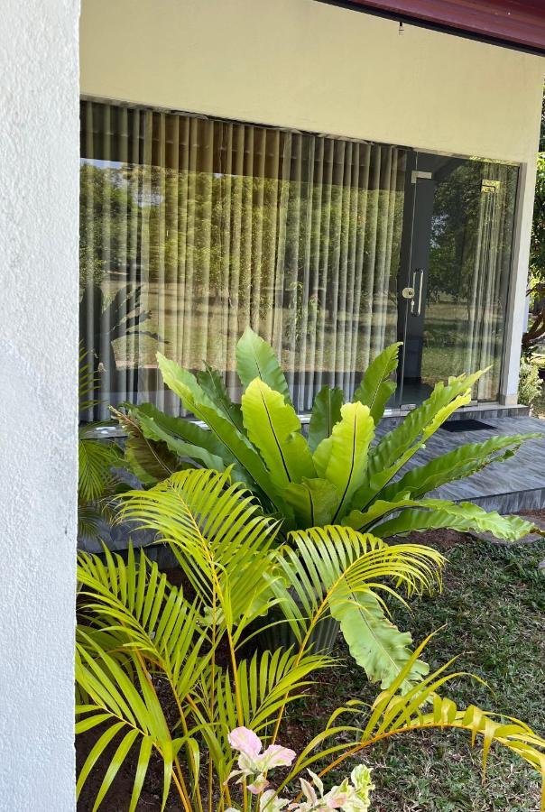 Nature Resort 波隆纳鲁沃 外观 照片