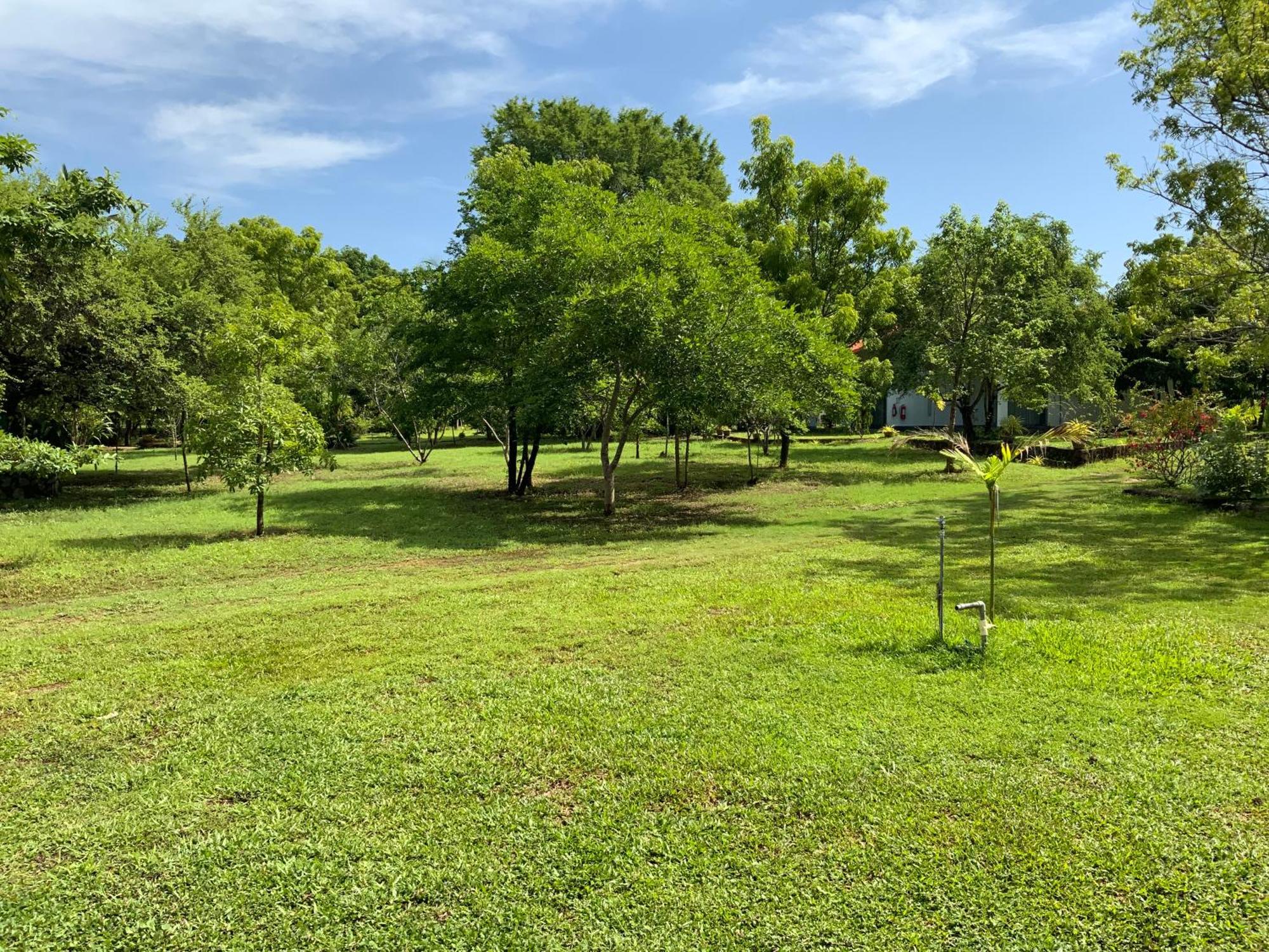Nature Resort 波隆纳鲁沃 外观 照片
