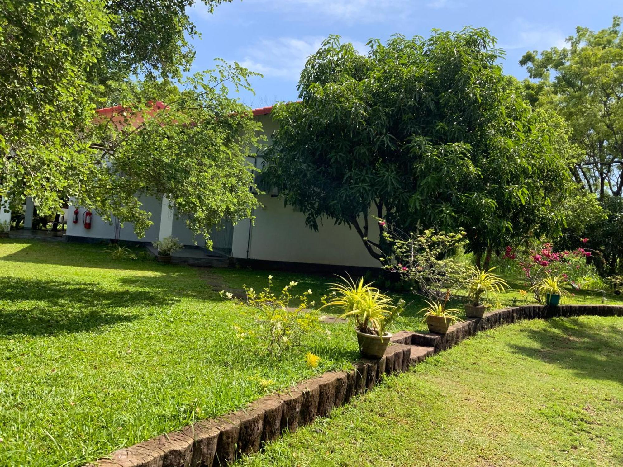 Nature Resort 波隆纳鲁沃 外观 照片