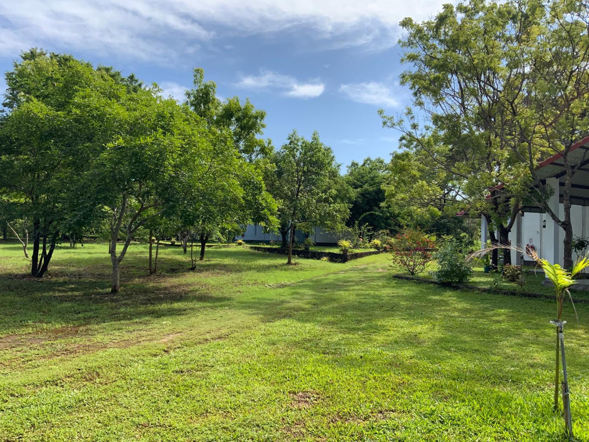 Nature Resort 波隆纳鲁沃 外观 照片