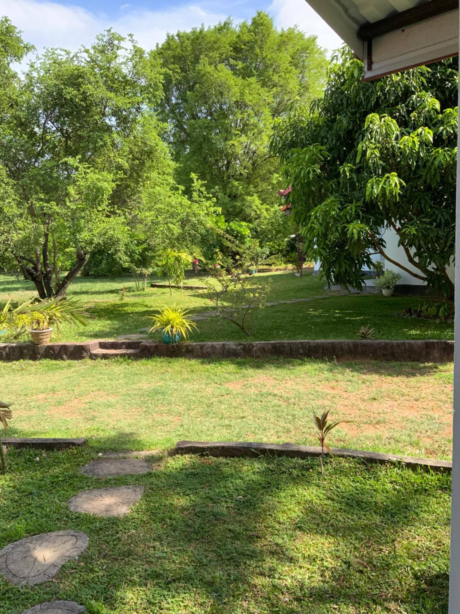 Nature Resort 波隆纳鲁沃 外观 照片