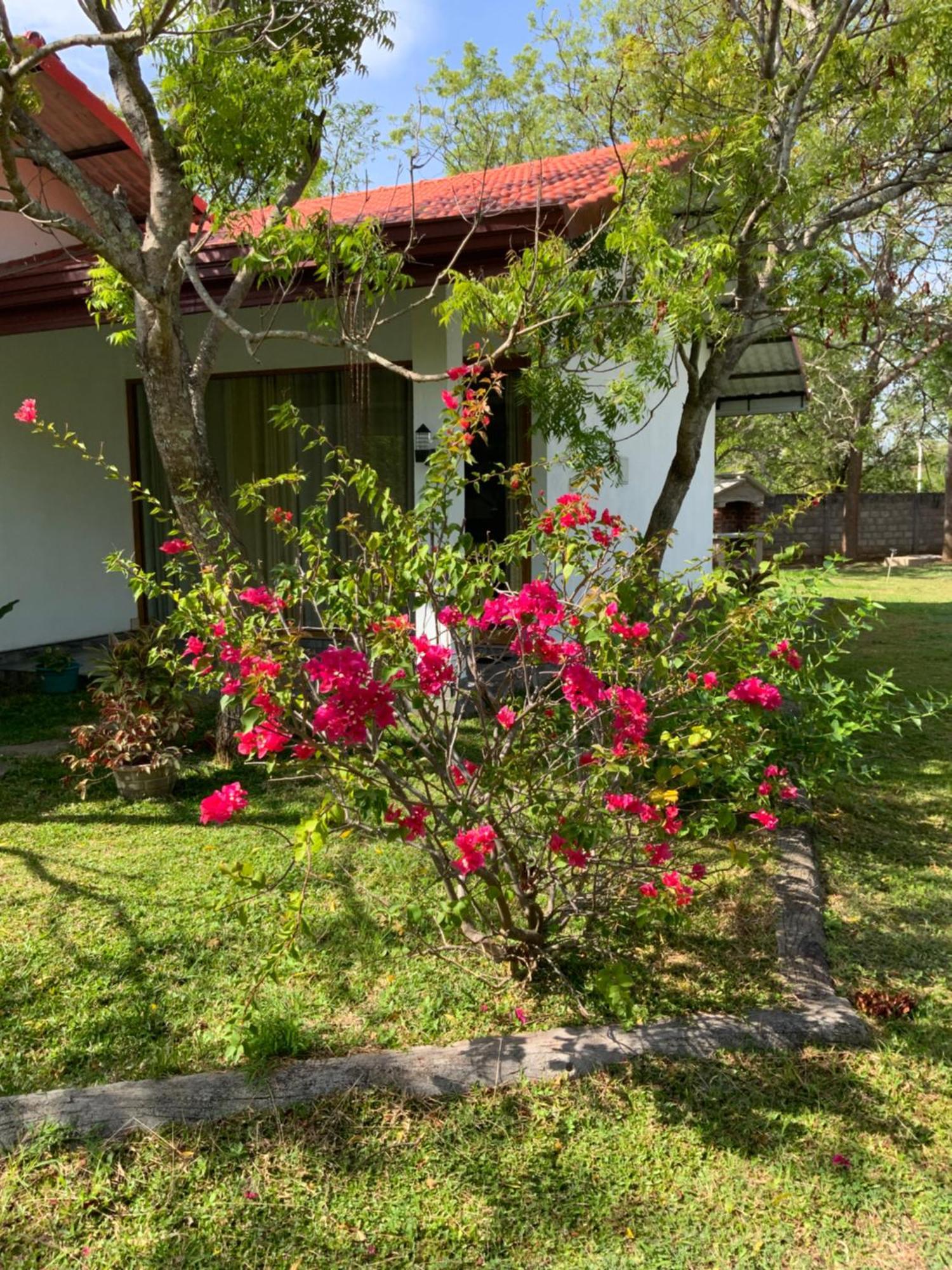 Nature Resort 波隆纳鲁沃 外观 照片