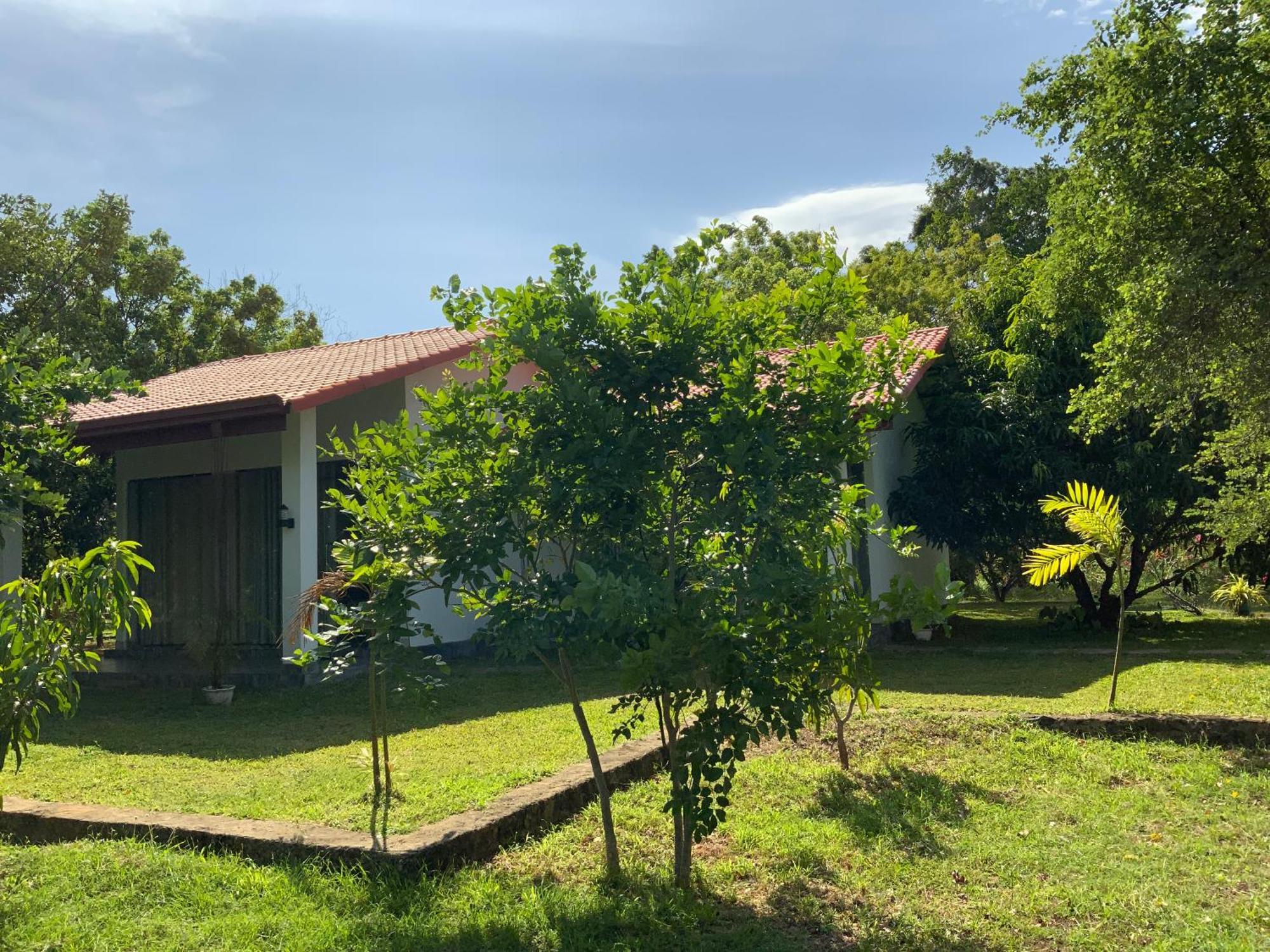 Nature Resort 波隆纳鲁沃 外观 照片